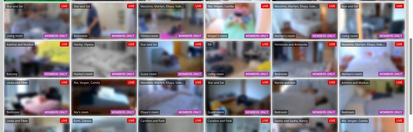 Reihe beliebter Kameras auf RealLifeCam mit LIVE-Zeichen, Raumnamen und einer gesperrten Kachel