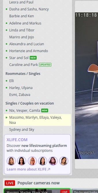 Wohnungsliste auf RealLifeCam mit den Gruppen Couples, Roommates und Singles sowie grünen Live-Punkten